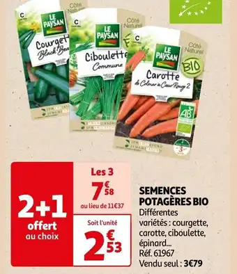 Auchan SEMENCES POTAGÈRES BIO offre