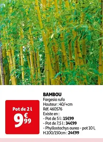Auchan BAMBOU offre