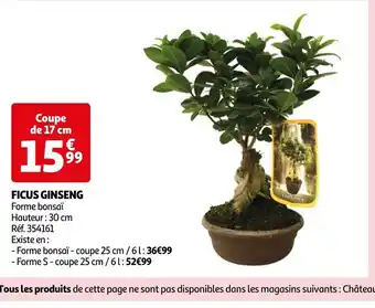 Auchan FICUS GINSENG offre