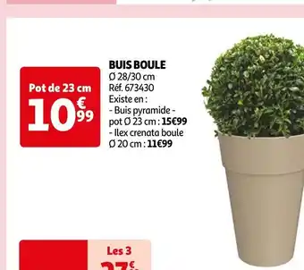 BUIS BOULE