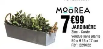 La Foir'Fouille JARDINIÈRE offre
