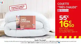 Carrefour Couette "Très chaude" offre