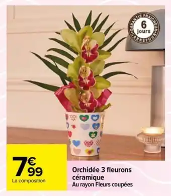 Carrefour Orchidée 3 fleurons céramique offre