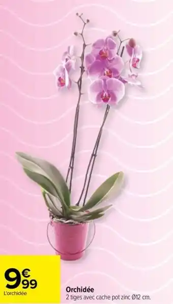 Carrefour Orchidée offre