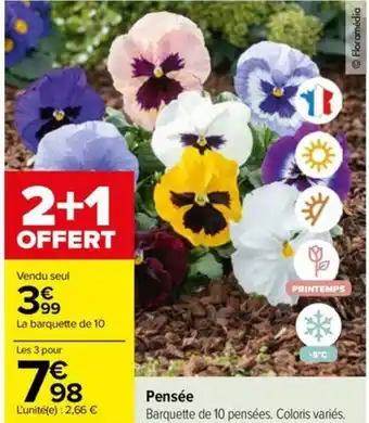 Carrefour Pensée Barquette de 10 pensées. Coloris variés. offre