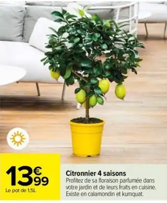 Carrefour Citronnier 4 saisons offre