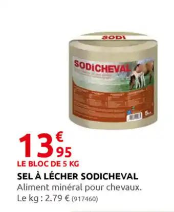 Rural Master Sel à lécher sodicheval offre