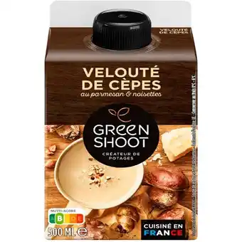 Velouté De Cèpes Greenshoot