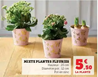 Super U MIXTE PLANTES FLEURIES offre