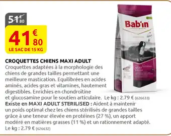 Rural Master Croquettes chiens Maxi Adult offre