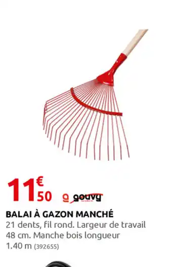 Rural Master Balai à gazon Manché offre