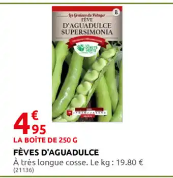 Rural Master Fèves d'Aguadulce offre