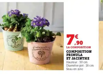 Hyper U LA COMPOSITION COMPOSITION PRIMULA offre