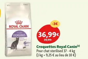 Maxi Zoo Royal Canin Croquettes offre