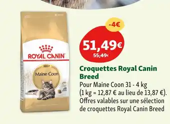 Maxi Zoo Royal Canin Croquettes Breed offre