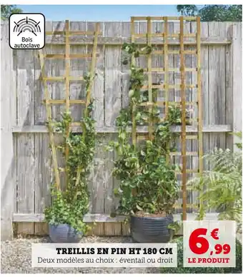 Super U TREILLIS EN PIN HT 180 CM offre
