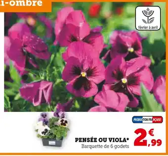 Super U PENSÉE OU VIOLA offre