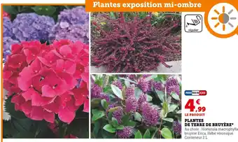 Super U PLANTES DE TERRE DE BRUYÈRE offre