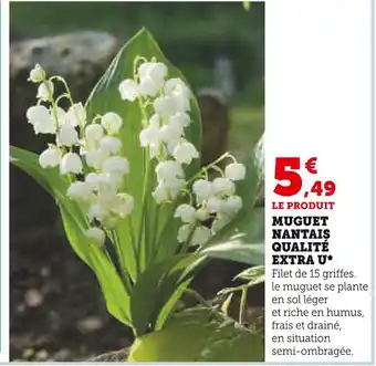 Super U U MUGUET NANTAIS QUALITÉ EXTRA offre