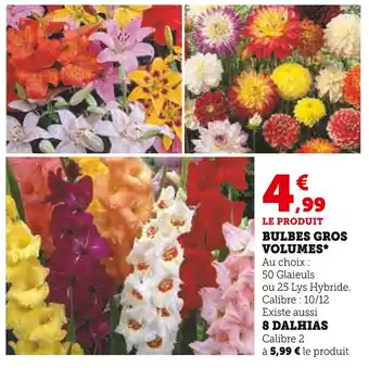 Super U BULBES GROS VOLUMES offre