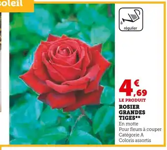 Super U ROSIER GRANDES TIGES offre