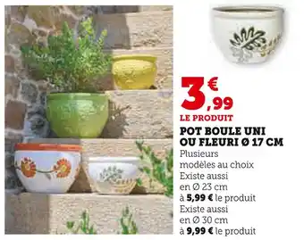 Super U POT BOULE UNI OU FLEURI Ø 17 CM offre