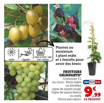 Super U FRUITIERS GRIMPANTS offre