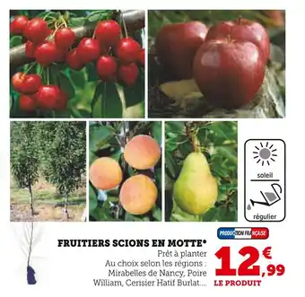 Super U FRUITIERS SCIONS EN MOTTE offre