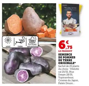 Super U SEMENCE DE POMMES DE TERRE ORIGINALE offre