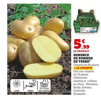 Super U SEMENCE DE POMMES DE TERRE offre