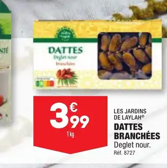 ALDI DATTES BRANCHÉES offre