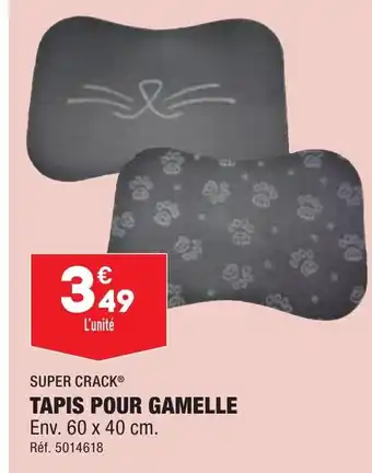 ALDI TAPIS POUR GAMELLE offre