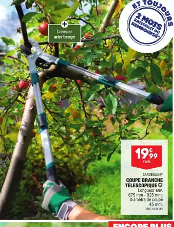ALDI COUPE BRANCHE TÉLESCOPIQUE offre