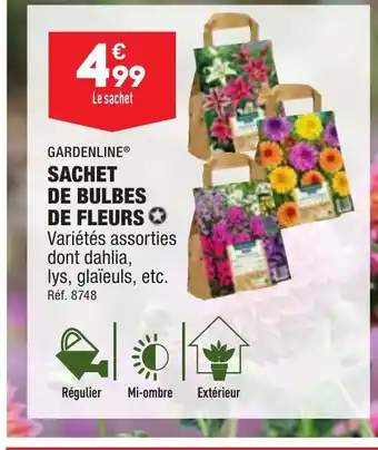 ALDI SACHET DE BULBES DE FLEURS offre