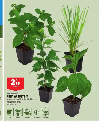 ALDI PETIT ARBUSTE offre