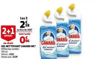 Canard gel nettoyant wc*