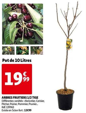 Auchan Arbres fruitiers 1/2 tige offre
