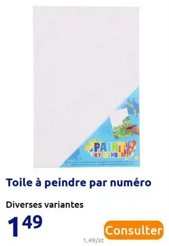 Action Toile à peindre par numéro offre