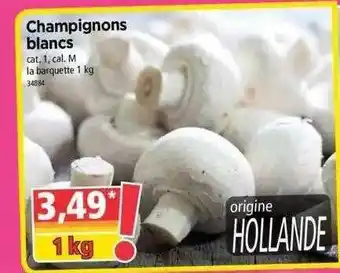 Norma Champignons Blancs offre