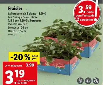 Lidl Fraisier offre