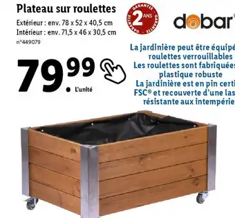Lidl Plateau sur roulettes offre