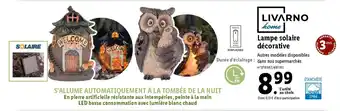 Lidl Lampe solaire décorative offre