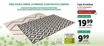 Lidl Tapis d'extérieur offre