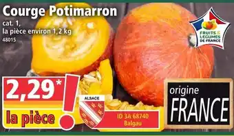 Norma Courge potimarron offre