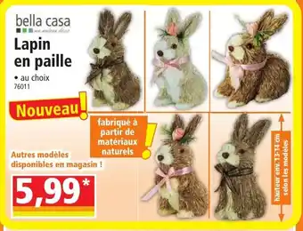 Norma Lapin en paille offre