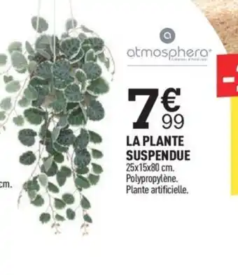 Centrakor LA PLANTE SUSPENDUE offre