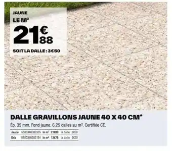 Brico Dépôt DALLE GRAVILLONS JAUNE 40 X 40 CM offre