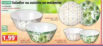 Saladier ou assiette en mélamine