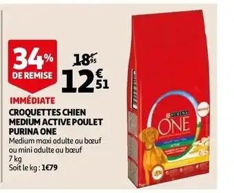 Auchan Croquettes chien offre