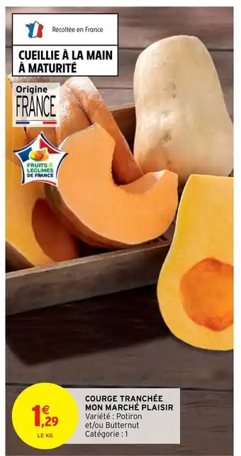 Courge Tranchée Mon Marche Plaisir